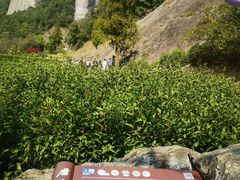 -雁荡山大龙湫景区