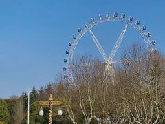 -宜兴龙背山森林公园