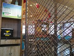 -蒙亨·手把肉·蒙古包文化主题餐厅(天恒广场店)