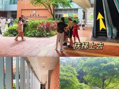 -香港大学