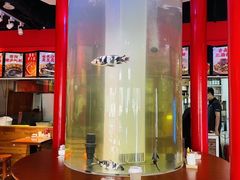 -秤砣砣·湖南粉面馆(青年路店)