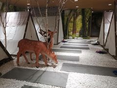 -东方之珠洗浴休闲广场(南开店)