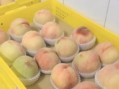 -老袁家蜜桃农场·阳山水蜜桃