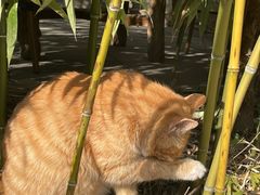 -万寿八仙宫