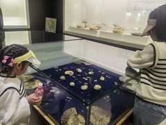 -青岛贝壳博物馆