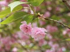 -宜兴龙背山森林公园