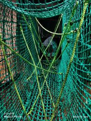 -奇幻丛林(佛罗伦萨小镇店)