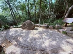 -上海佘山国家森林公园天马山园