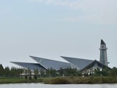 -盐城丹顶鹤湿地生态旅游区