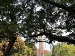 -广州中山纪念堂