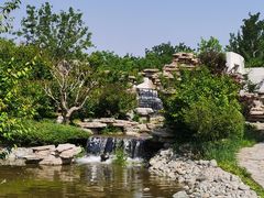 -石家庄市植物园