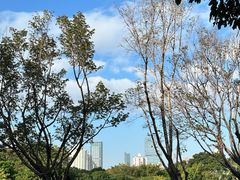 -喜家德虾仁水饺(岗厦北店)