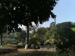 -东莞植物园