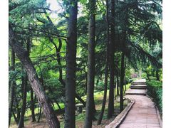 -观象山公园