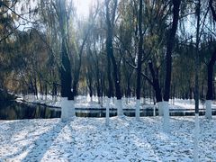 -长白岛森林公园