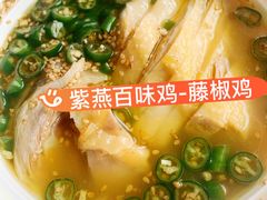 -紫燕百味鸡(灵岩南路店)