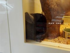 -龙猫仔乐园(惠福东路店)