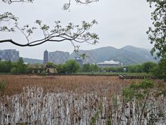 -长兴太湖图影湿地文化园
