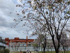-广东花都湖国家湿地公园
