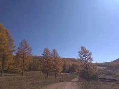 -塞罕坝国家级自然保护区