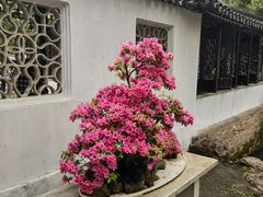 -拙政园
