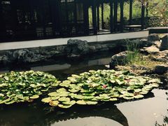 -日出青木·杭帮菜名店