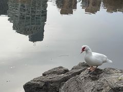 -团结湖公园