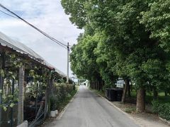 -马陆小张葡萄园农家乐