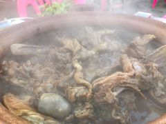 -霞姐屯昌枫木香草鸭店(海螺店)