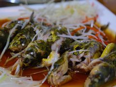 清蒸黄鸭叫-茅台镇网红溶洞餐厅·茅帮菜馆