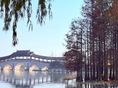 -长广溪湿地公园