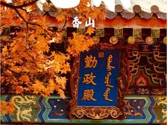 -香山公园