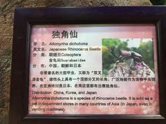 -上海大自然野生昆虫馆(东方明珠·爬宠昆虫探索中心)