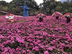 -广州市流溪河国家森林公园