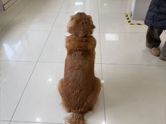 -宠颐生宠物医院·骨外科·犬猫全科诊疗中心(池州店)