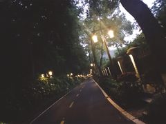-杭州花家山庄