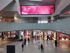 -广州白云国际机场-T2航站楼