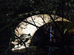 -鱼桥巷·美学川菜