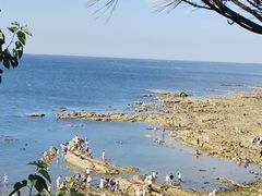 -养马岛旅游度假区