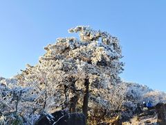 -安吉龙王山风景区