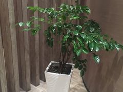 -山水雅居·江南雅宴(运河公园店)