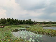 -东平国家森林公园