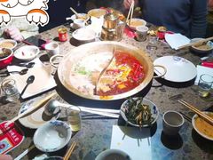 -小龙坎老火锅(金柏林店)