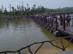 -枫香湖儿童公园