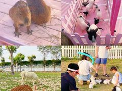 -渔岛海洋度假区