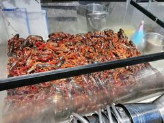 -一方渔歌蒸汽海鲜自助(文化路万达广场店)