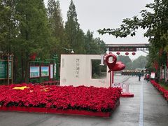 -泗洪洪泽湖湿地景区