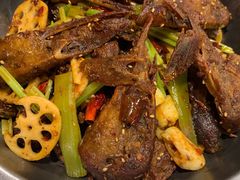 干锅鸭头-听涛雅苑百味饺子老家菜馆