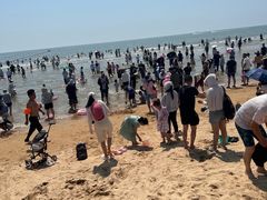 -日照海滨国家森林公园