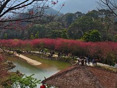 -福清灵石山国家森林公园